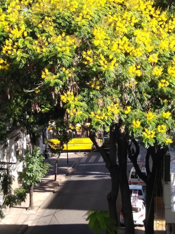 Alquiler Balcarce Apartment *